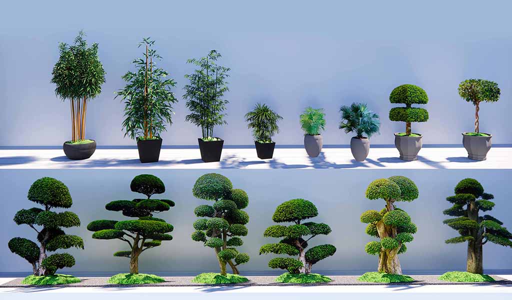 250 MODEL BỘ TÙNG 2D